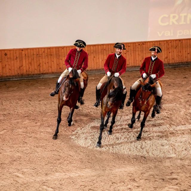 Lisbon: Portuguese Riding School Trainig With Lusitano Horse - Pricing Details