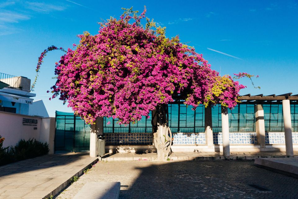 Lisbon: Private Evening Tour With Drinks & Bites in Alfama - Highlights of the Alfama Neighborhood