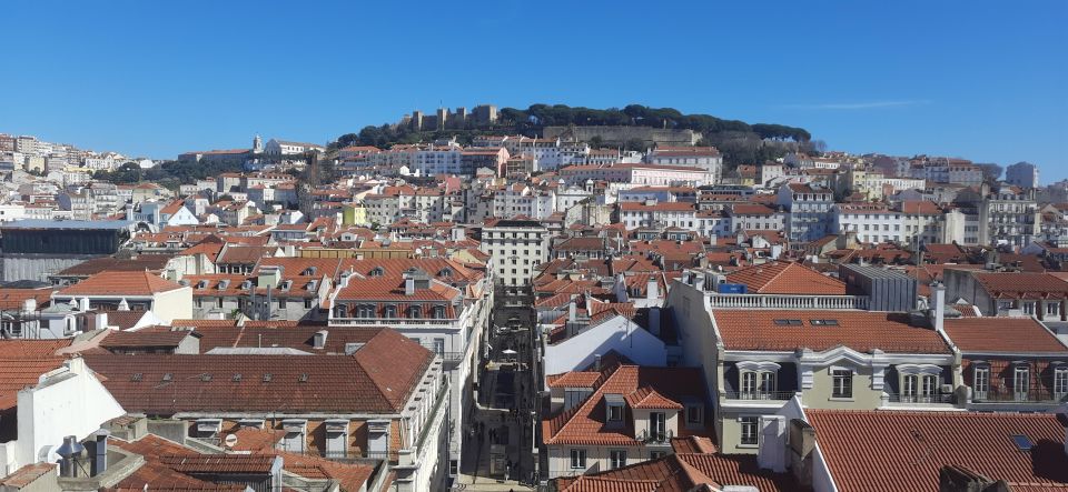 Lisbon: Private Walking Tour of the Citys Highlights - Meeting Point and Itinerary