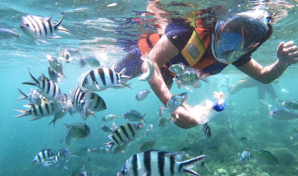 Lombok: Secret Gili Private Snorkeling Boat Trip - Inclusions and Exclusions