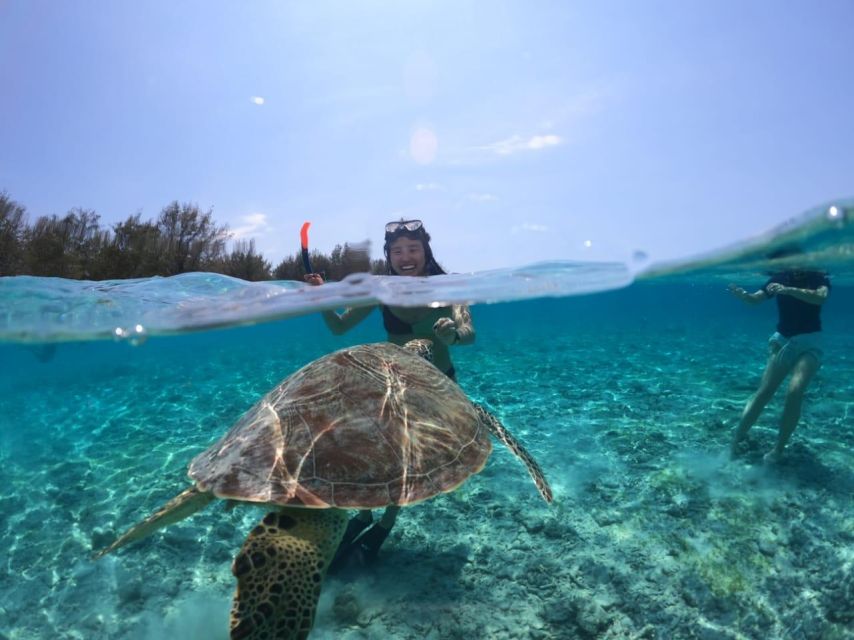 Lombok: Trawangan, Meno & Air Islands Full Day Snorkeling - Inclusions