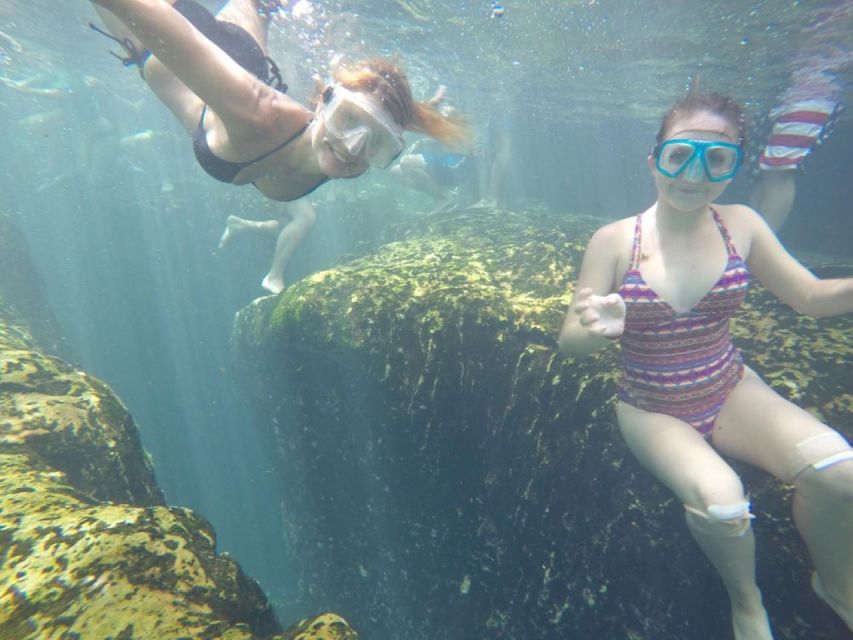 Longwood: Guided Wekiva River Paddleboarding Tour - Highlights of the Tour