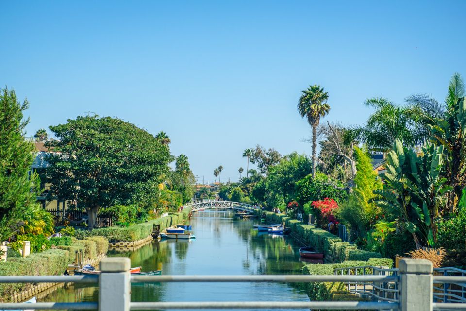 Los Angeles: Small Group Sightseeing Tour With Hotel Pickup - Panoramic Views at Griffith Park