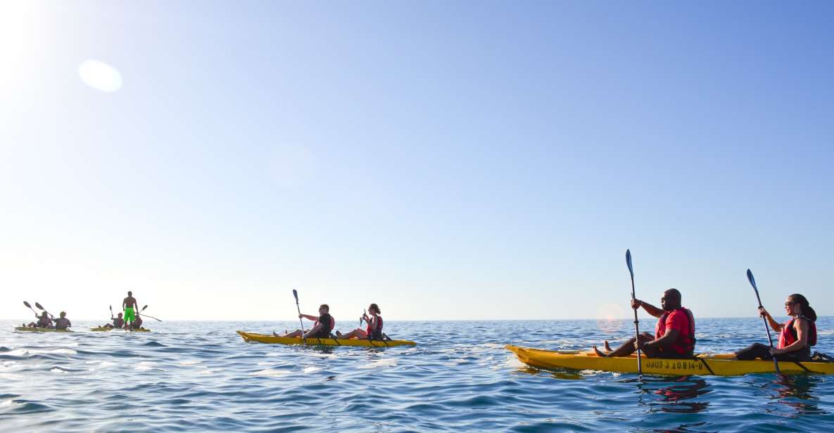 Los Cabos: Bay Kayaking and Snorkeling Private Tour - Included in the Package