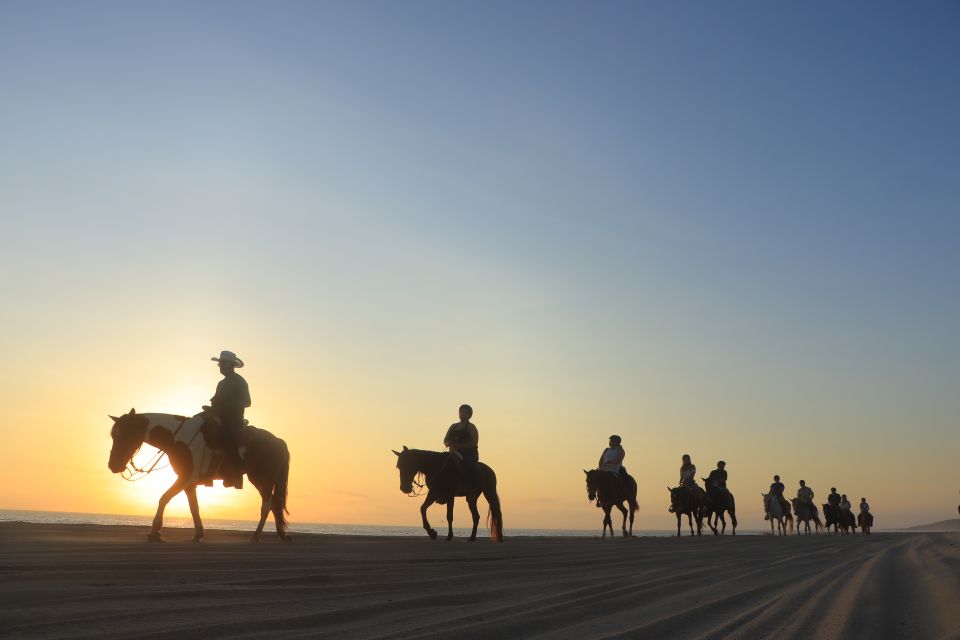 Los Cabos: Horseback Ride on Pacific Beach and Desert - Inclusions