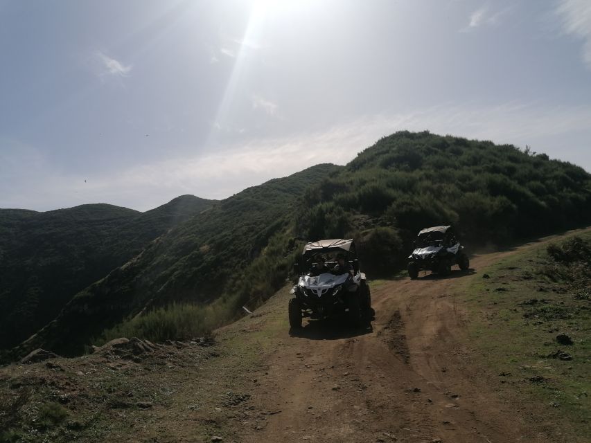 Madeira: Half-Day Off-Road Buggy Tour - Pickup and Group Size