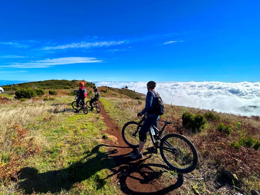 Madeira - Mountain Biking Tour - Diverse Trail Experiences