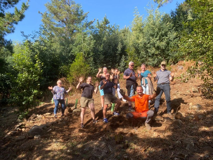 Madeira: Pico Do Areeiro, Santana, and Machico's Golden Beach - Sustainable Nature Activity