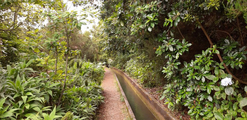 Madeira: Private Levada Faja Dos Rodrigues Walk - Pricing and Booking Details