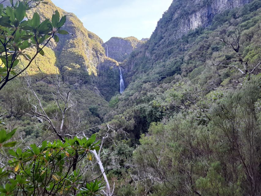 Madeira: Private Walking Tour of Levada Das 25 Fontes PR6 - Highlights of the Tour