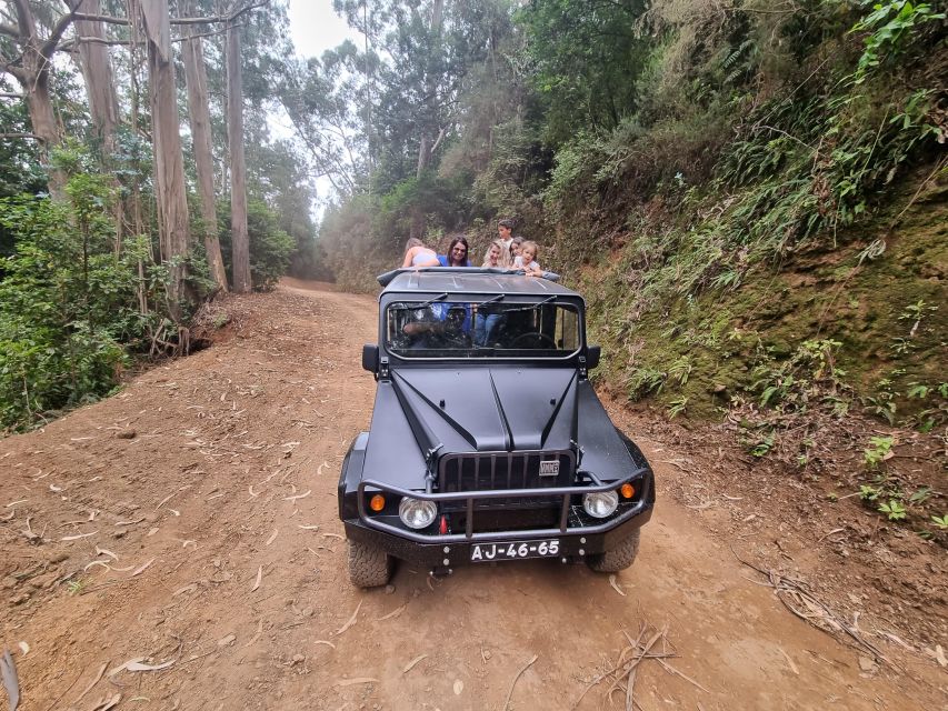 Madeira : SkyWalk, Fanal, Natural Pools 4x4 Jeep Tour - Tour Details