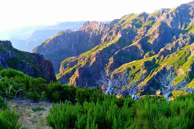 Madeira Top Sunrise - Inclusions and Exclusions