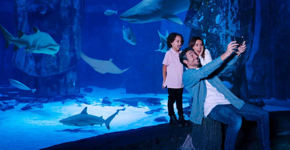 Mall of America: Sea Life Minnesota Aquarium Entry Ticket - Highlights and Exhibits