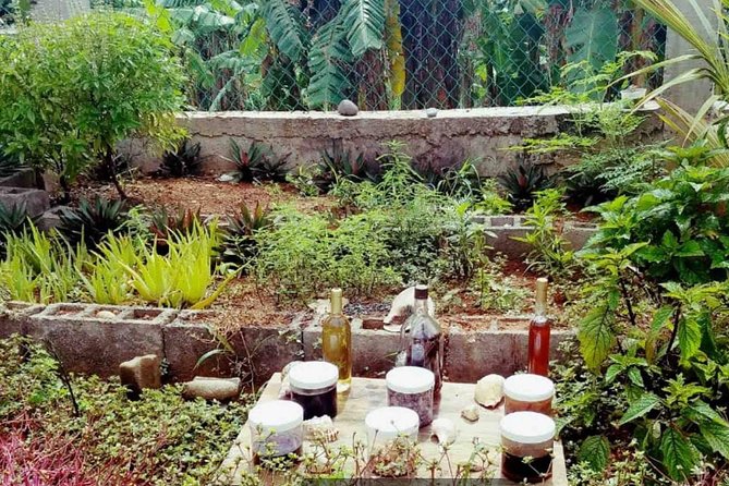 Manawakie Park Sloths & Monkey Encounter - Included Amenities and Services