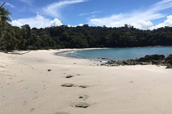 Manuel Antonio National Park Guided Tour - Transportation Details