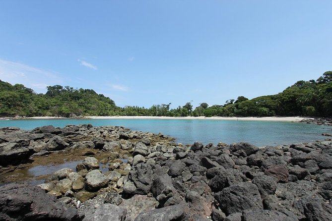 Manuel Antonio National Park Tour - Wildlife Viewing Experience
