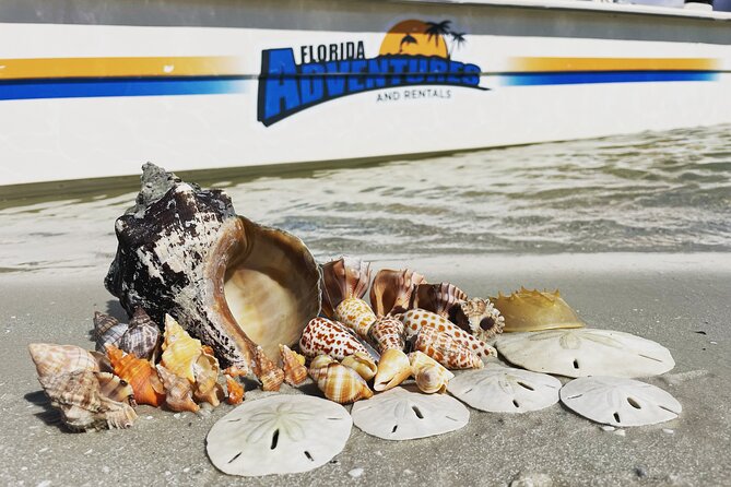 Marco Island Wildlife Sightseeing and Shelling Tour - Cancellation Policy