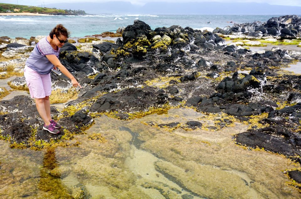 Maui: Private Guided Halfway to Hana Tour - Natural Beauty Exploration