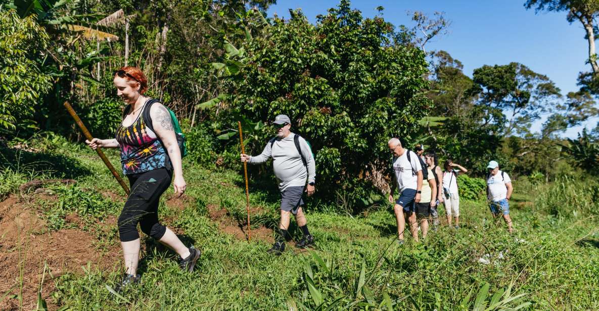 Maui: Rainforest Waterfalls Guided Hike With Picnic Lunch - Highlights of the Hike