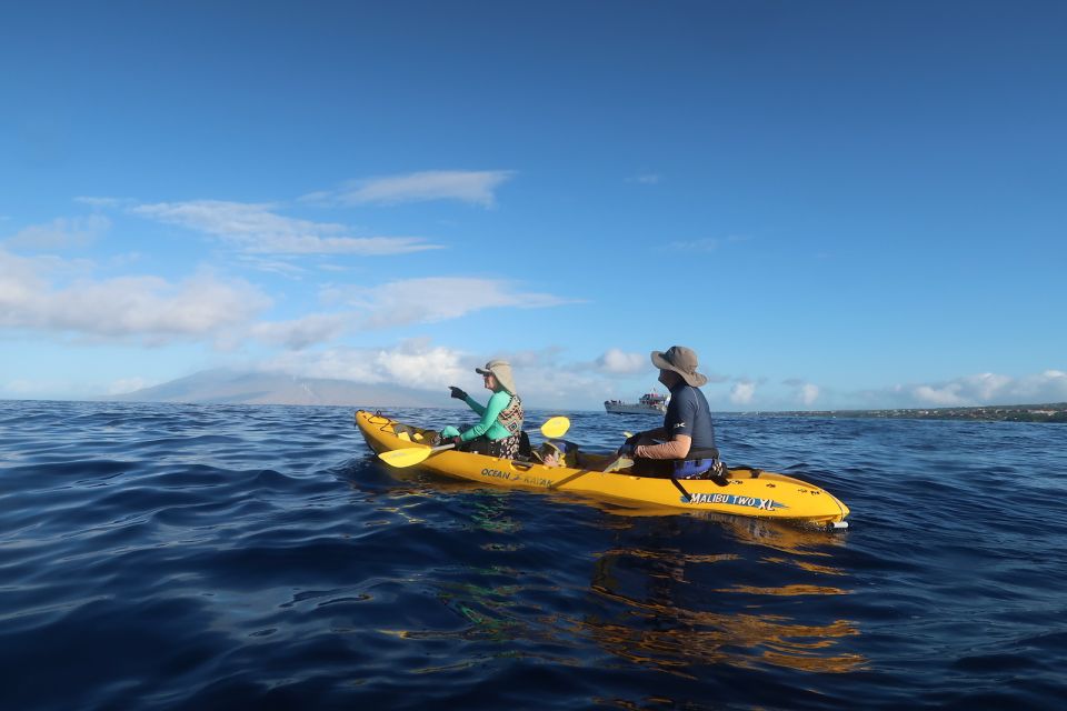 Maui: Turtle Town Kayak and Snorkel Tour - Itinerary