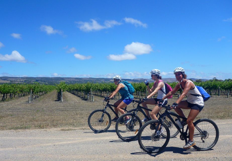 Mclaren Vale Hills Vines and Wines Bike Tour From Adelaide - Tour Experience