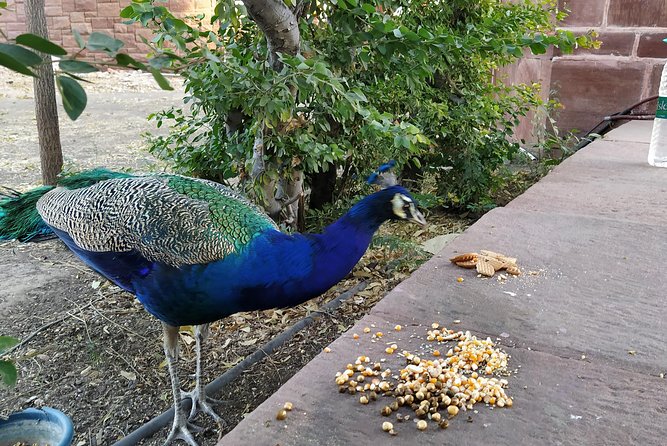 Mehrangarh Fort and Blue City Historic Tour With Local Guide - Highlights of Mehrangarh Fort