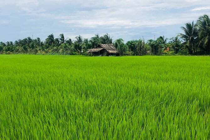 Mekong With Biking Private Tour - Pickup and Meeting Details