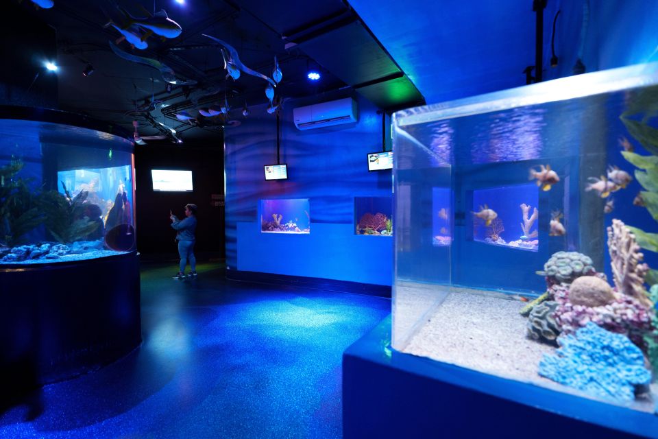 Mexico City: Inbursa Aquarium Ticket With VR Option - Inclusions