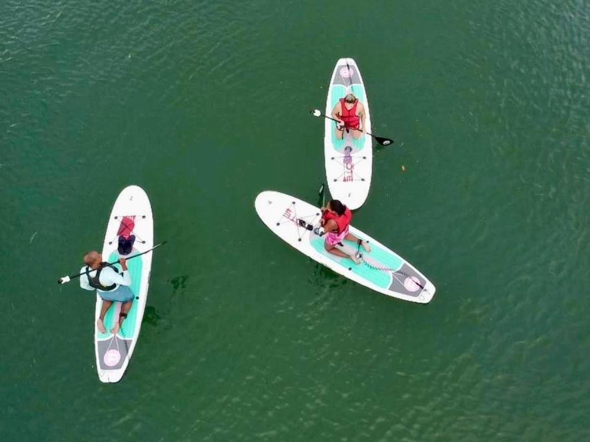 Miami: Paddle Board or Kayak Rental in Virginia Key - Pricing and Reservation