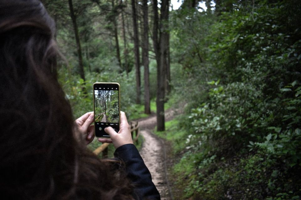 Miles Canyon: Self-Guided Nature Tour With Audio Guide - Trail Details