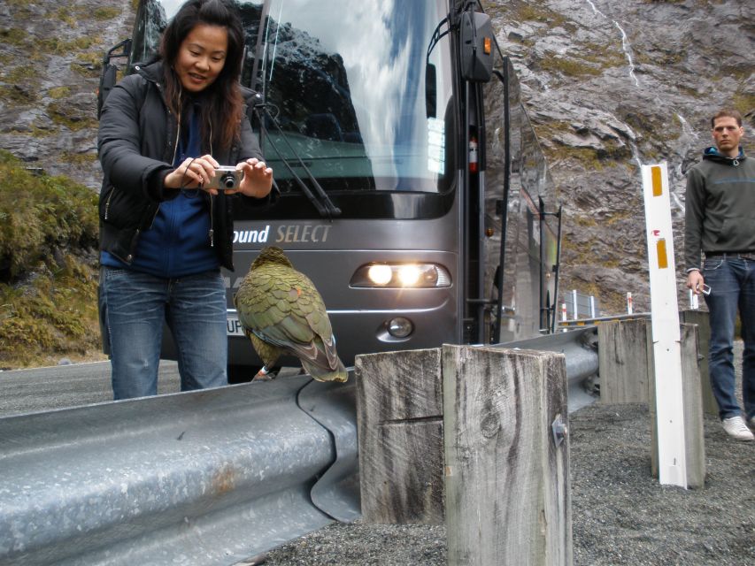 Milford Sound Premium Day Tour and Cruise From Te Anau - Tour Details