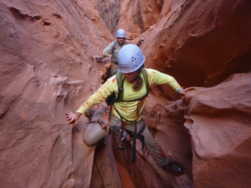 Moab: Morning or Afternoon Half-Day Rappelling Tour - Highlights and Features