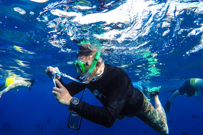 Molokini and Turtle Arches Snorkeling Trip From Maalaea Harbor - What to Expect on the Trip