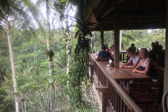 Monkey Forest, Ubud, and Rice Terraces - Knowledgeable Driver and Logistics