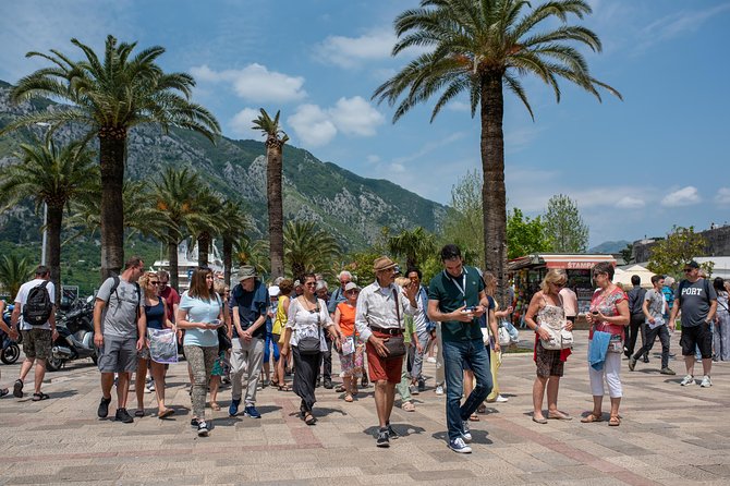 Montenegro: Bay of Kotor Day Trip From Dubrovnik - Highlights of the Day Trip