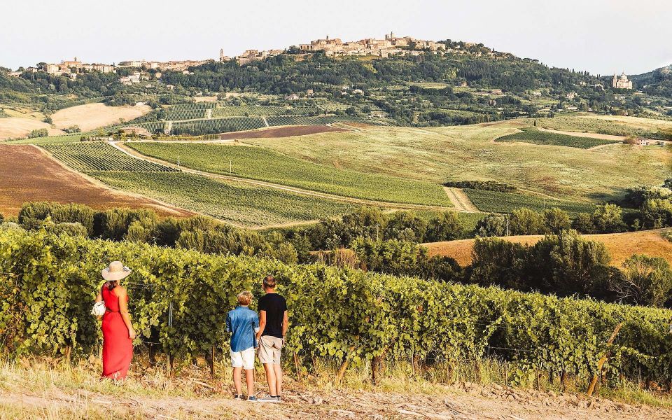 Montepulciano: Vino Nobile Wine Tour — Meet the Producers - Winemaking Process and History