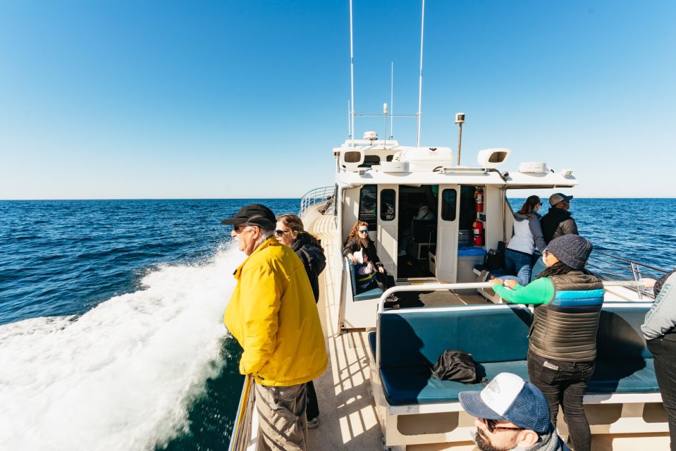 Monterey Bay: Whale Watching Tour - Meeting Point