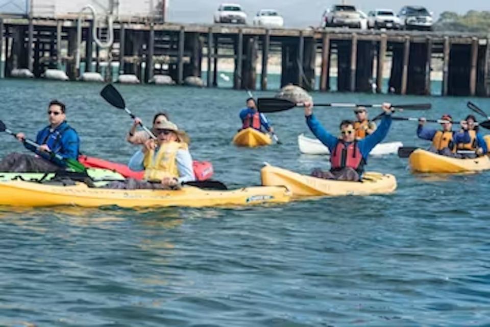 Monterey: Cannery Row Kayak Tour - Activity Highlights