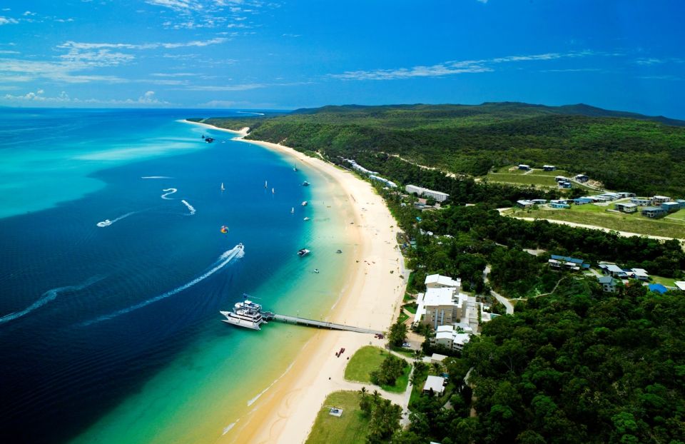 Moreton Island: Marine Discovery Cruise & Dolphin Feeding - Booking Details