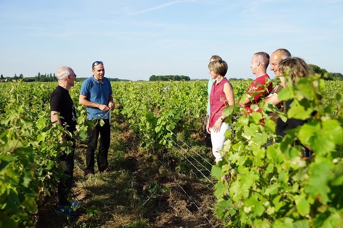 Morning - Loire Valley Wine Tour in Vouvray and Montlouis - Guided Winery Experiences