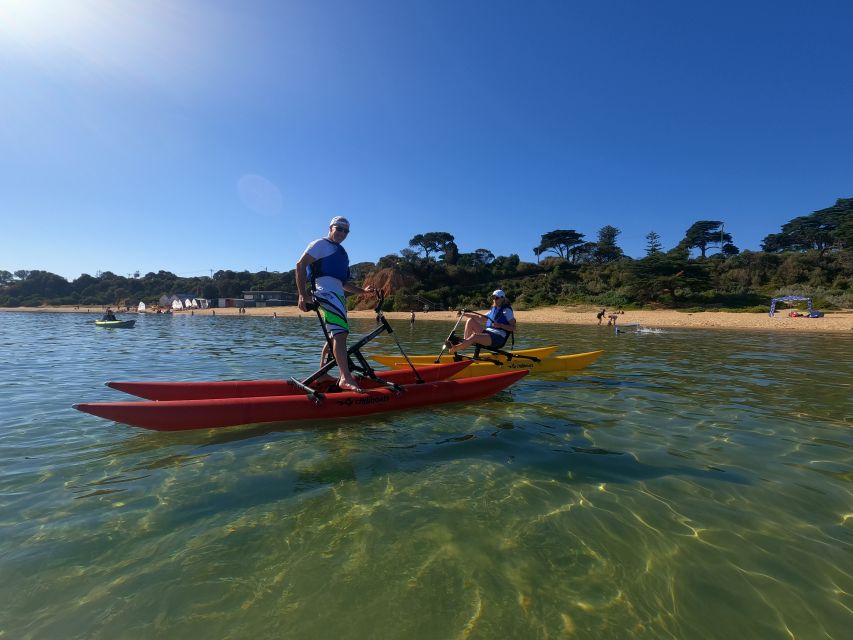 Mornington: Port Phillip Bay Water Bike Tour - Pricing and Duration