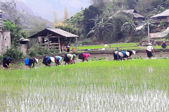 Motorcycle Tour of Ha Giang Loop, 4d/3n All-Inclusive - Included Amenities