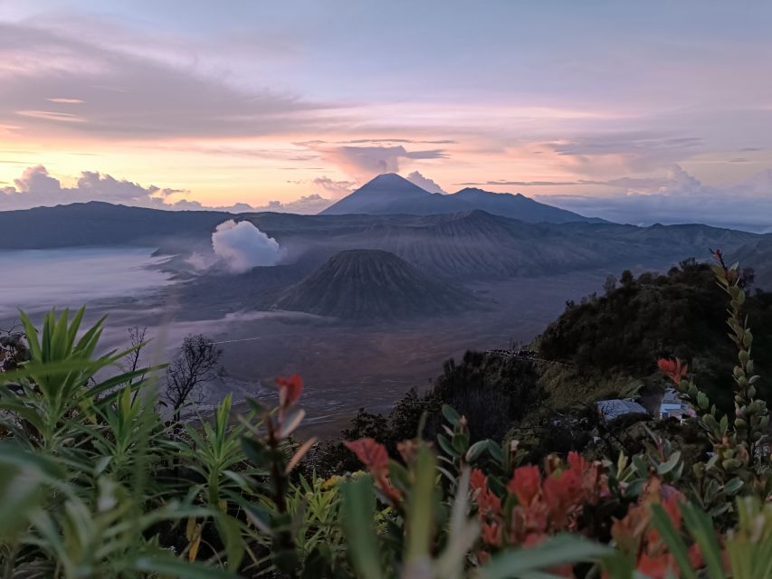 Mount Bromo: Sunrise Guided Tour With Optional Transfer - Tour Details and Inclusions