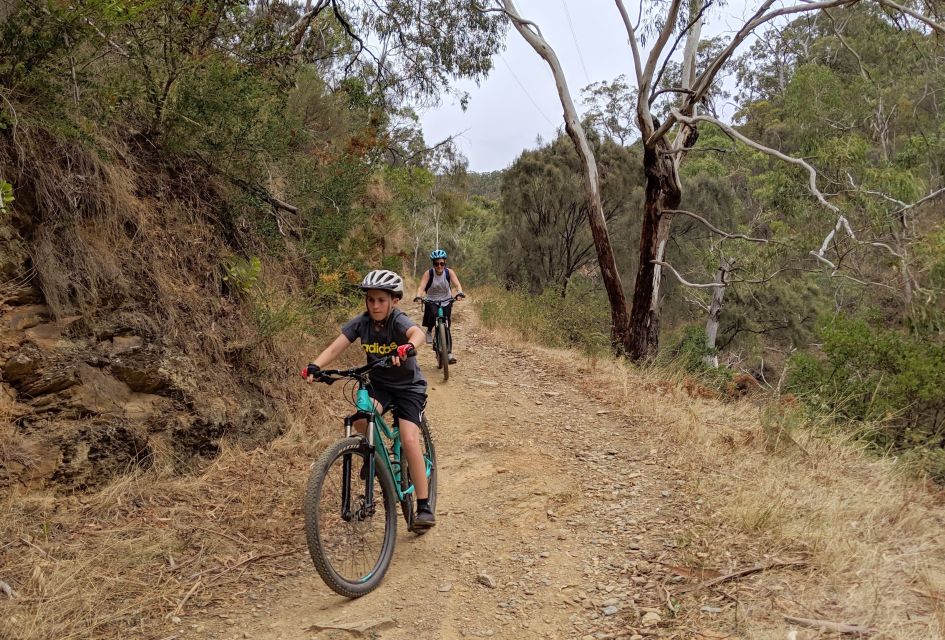 Mount Lofty Downhill Bike Tour & Cleland Wildlife Park Visit - Inclusions