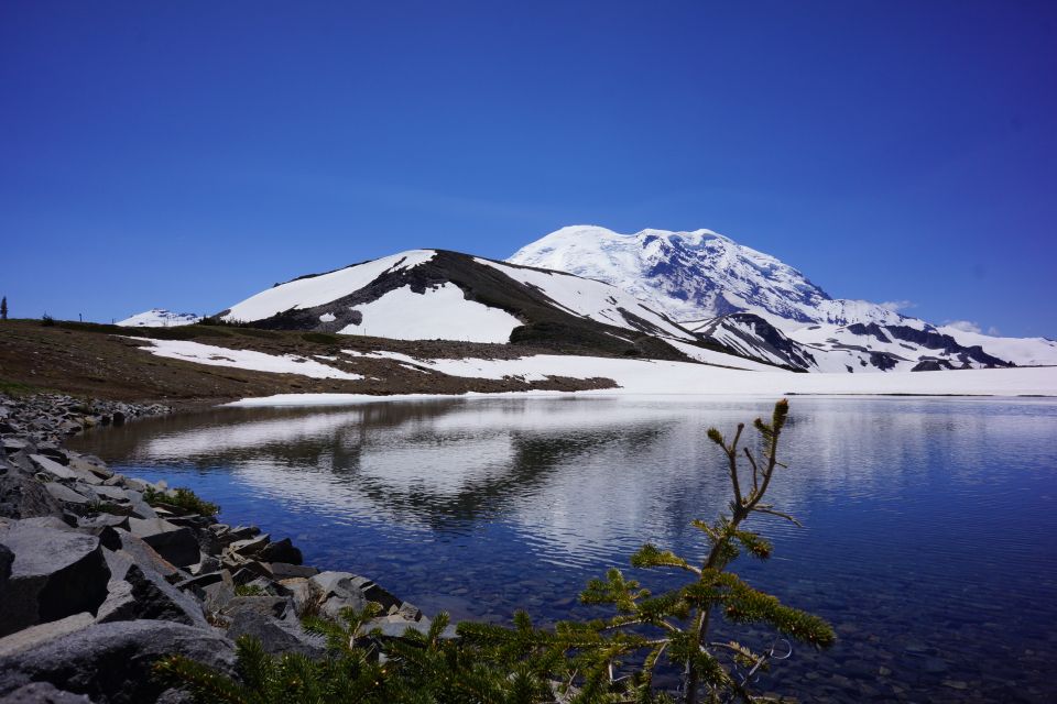 Mount Rainier: Day Hike on the Mountain - Highlights