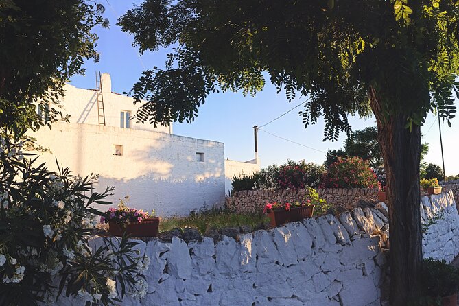 Mozzarella Experience - Cheese Tour and Tastings at Masseria Fragnite - Tour of the Masseria and Dairy