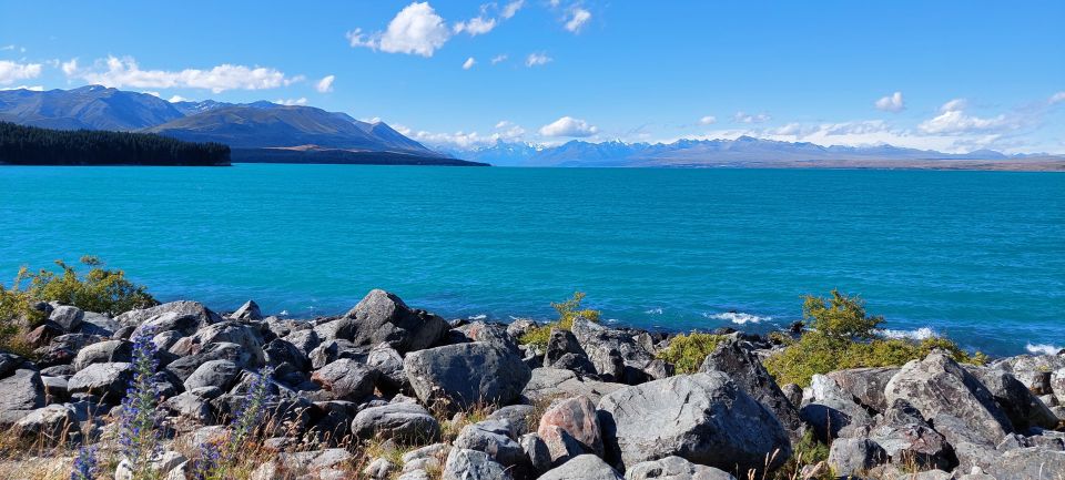 Mt Cook Tour: Finish at Queenstown, Christchurch or Dunedin - Languages and Pickup