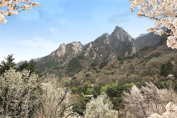 Mt. Seorak+Nami Island+Garden of Morning Calm Day Trip From Seoul - Natural Attractions of the Tour