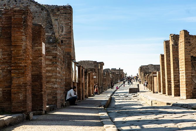 Mt. Vesuvius and Pompeii Day Trip From Naples All Inclusive - Inclusions