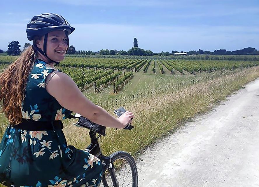 Napier: Art Deco Bike Ride and Wineries Loop - Description